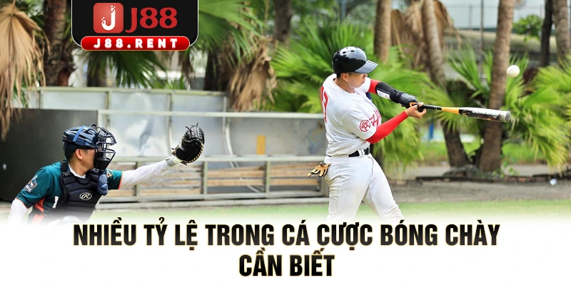 Nhiều tỷ lệ trong cá cược bóng chày cần biết